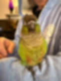 8D748C21-A04E-42B9-A217-48E080EDF066_1_102_o.jpeg