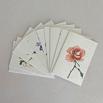 A Mostalgie Greeting Cards by Growing Paper South Africa, A company that practices sustainability & recycling through their wonderful natural products.
