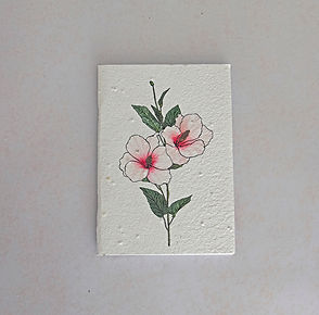 Nostalgie Notebooks by Growing Paper South Africa, A company that practices sustainability & recycling through their wonderful natural products.