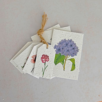 Nostalgie Small Gift Box Set by Growing Paper South Africa, A company that practices sustainability & recycling through their wonderful natural products.