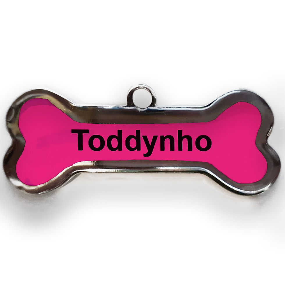 Miniatura: Placa de Identificação - Osso G