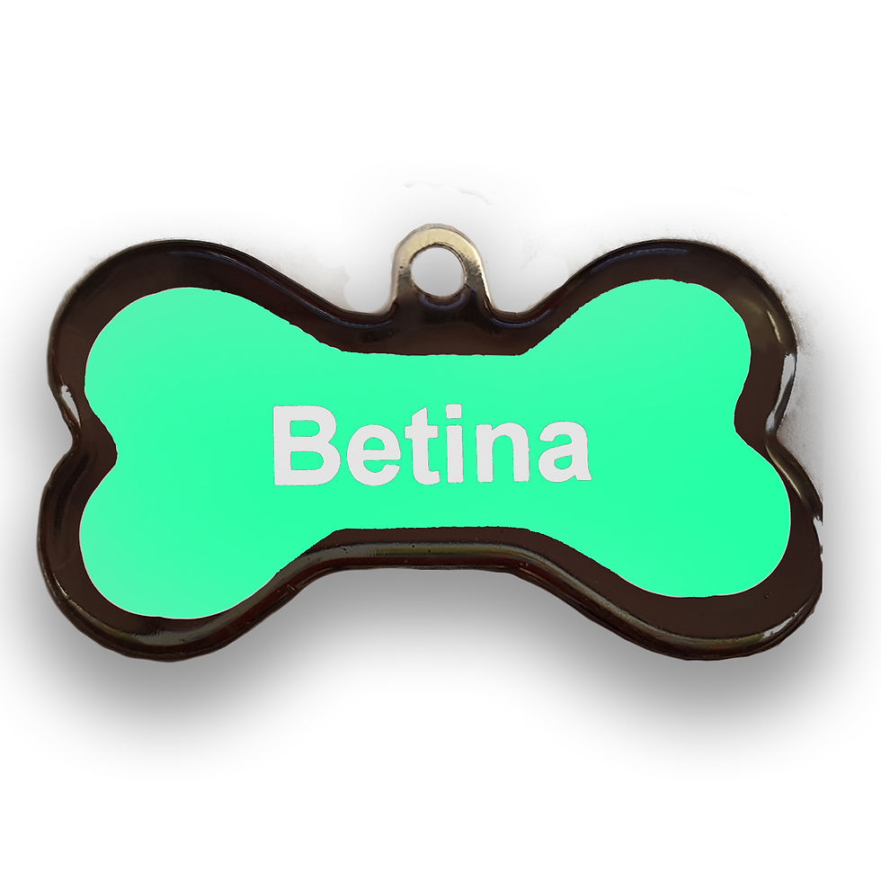 Miniatura: Placa de Identificação - Osso M