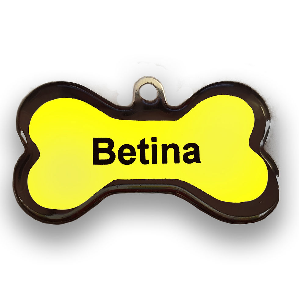 Miniatura: Placa de Identificação - Osso M