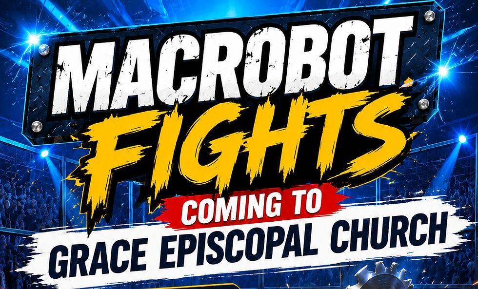MacroBot Fights