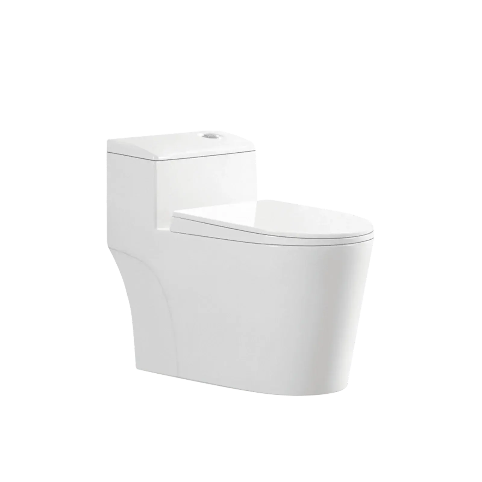 Sanitario OceanicEase Med Plus