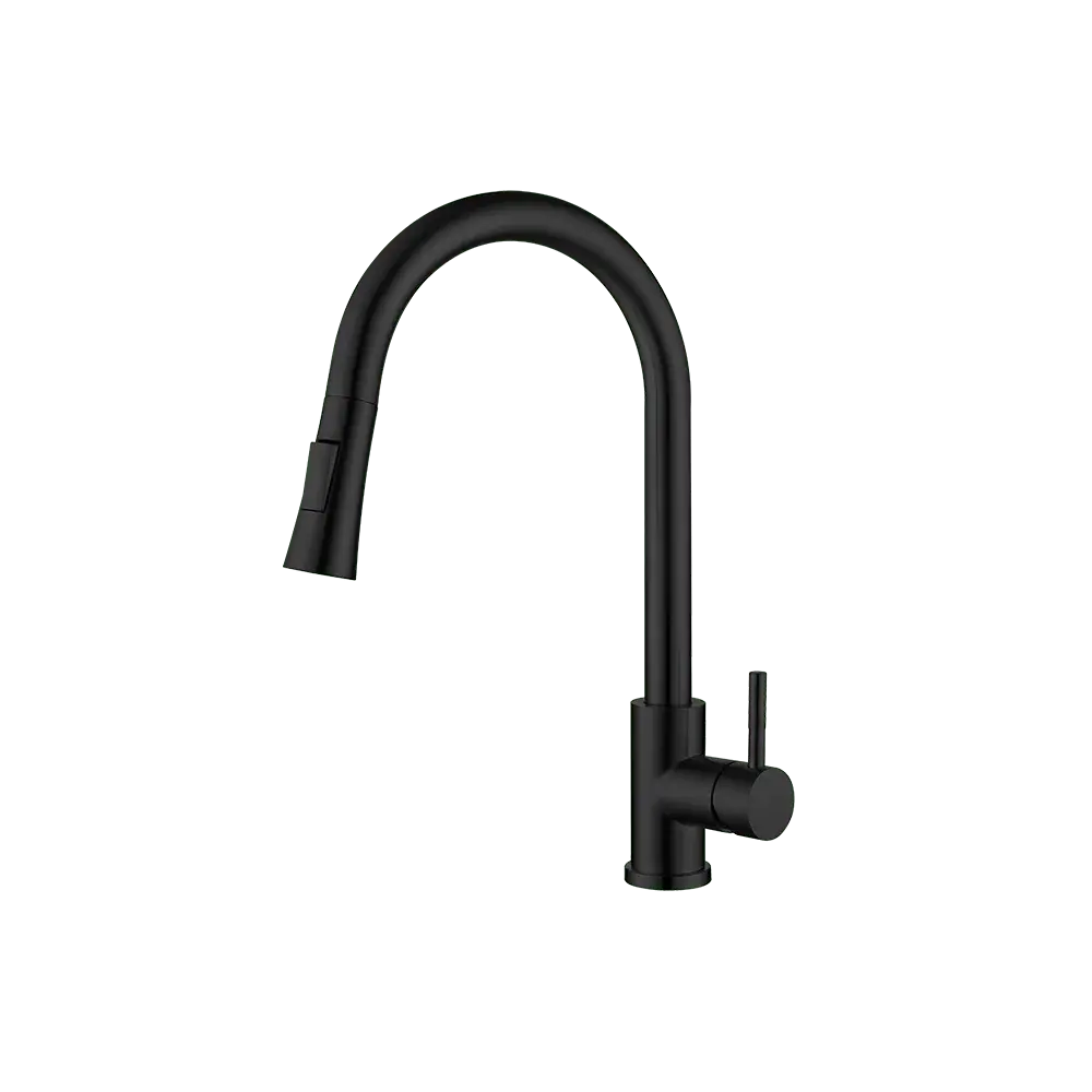 Grifo AquaFlex Black