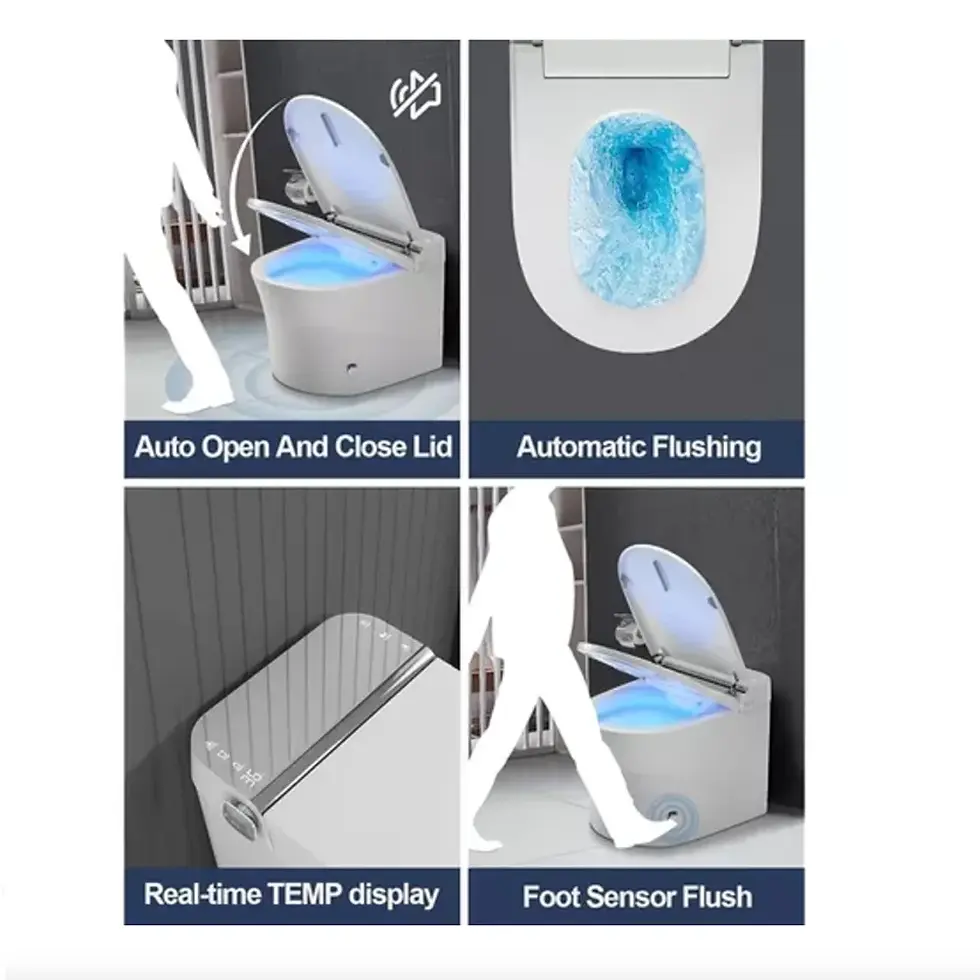 Miniatura: Sanitario Inteligente AquaSphere Luxe