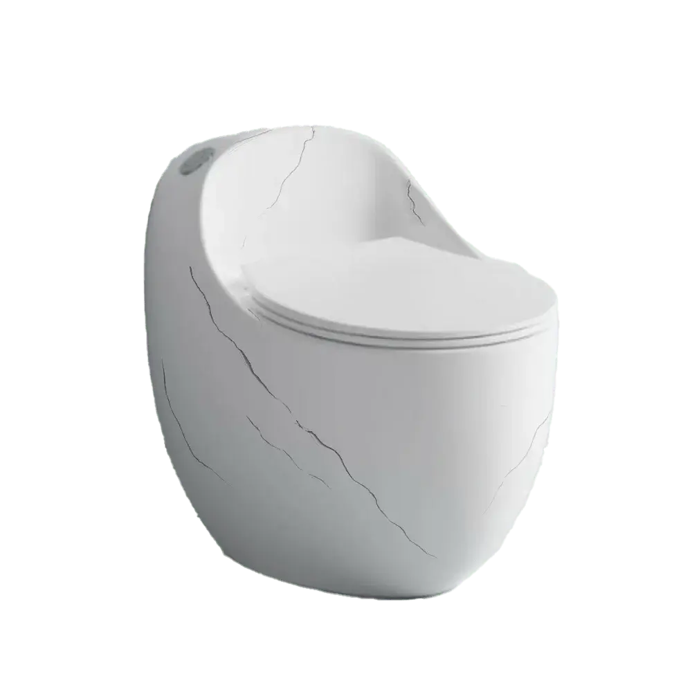 Sanitario AquaPure Essence