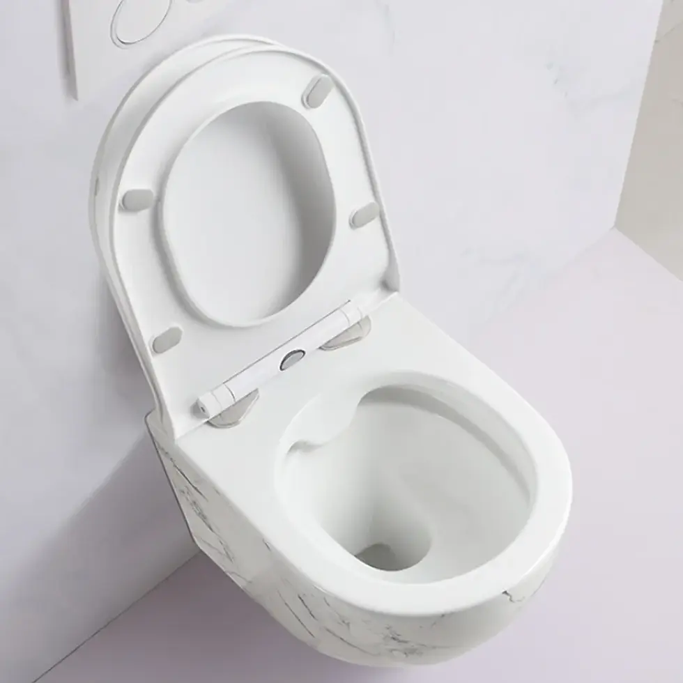 Miniatura: Inodoro Elevado Celestial Throne