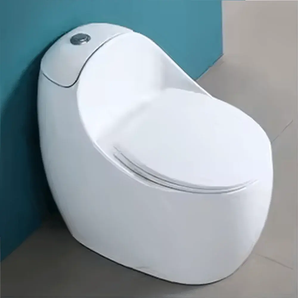 Sanitario RivaFlow