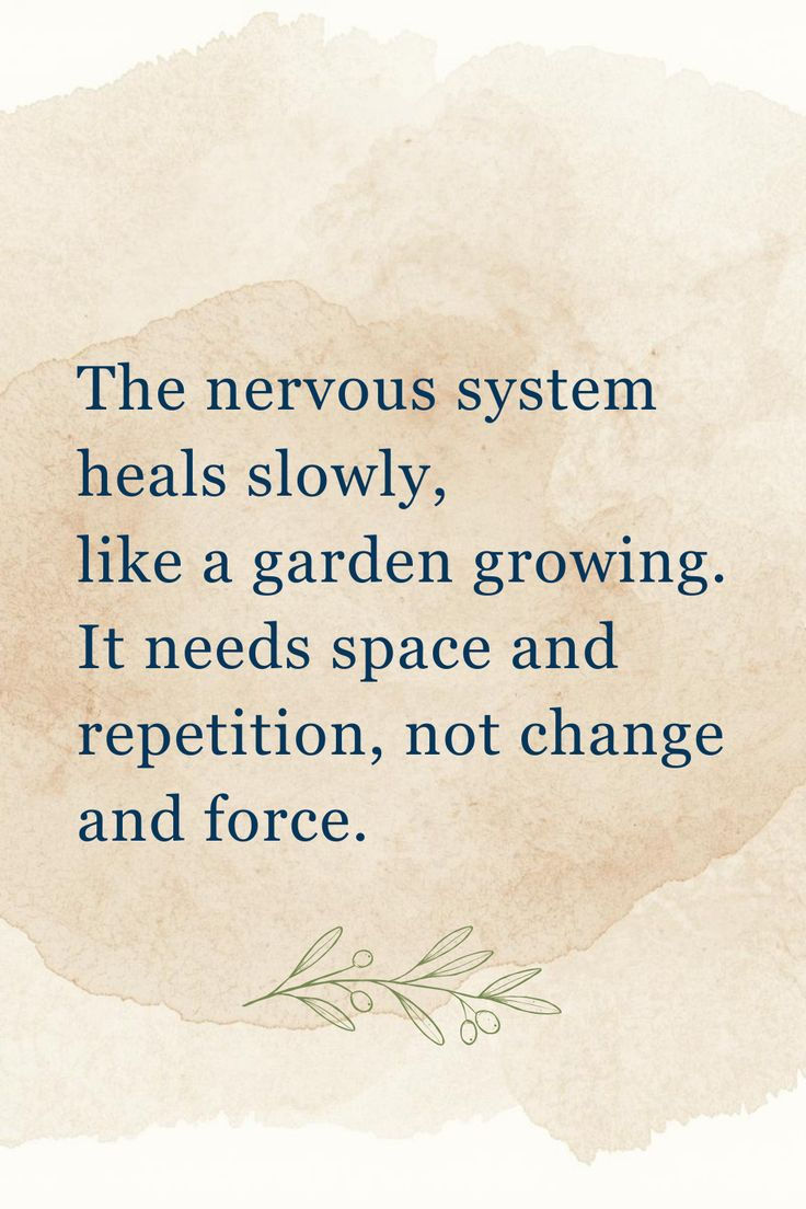 A Beginner’s Guide to Nervous System Regulation