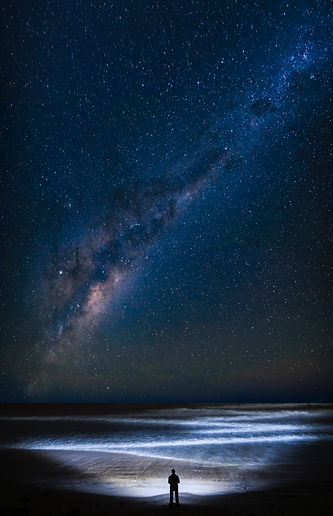 trevor-mckinnon-wL3-nvcELpc-unsplash.jpeg