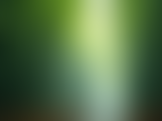 The Power of Release: Unlocking Speed in Wing Chun Through Looseness