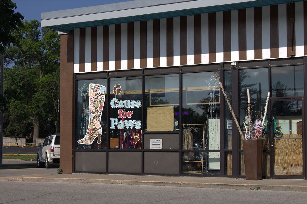 Cause for Paws