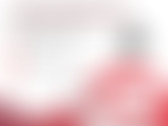 Digitale Schadensmeldung