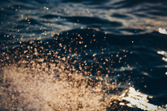 2016-11-15 11.47.23 1.jpg