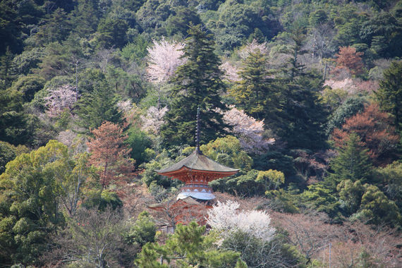 2017-04-01 06.12.58 1.jpg