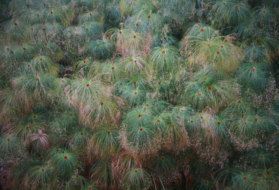 2017-10-03 04.05.44 1.jpg