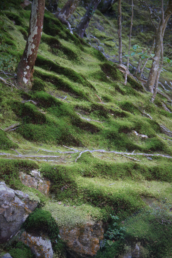 2017-04-04 11.28.59 1.jpg