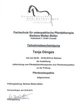 12Teilnahme_Prüfung.jpeg