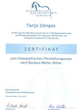 13Abschlusszertifikat.jpeg
