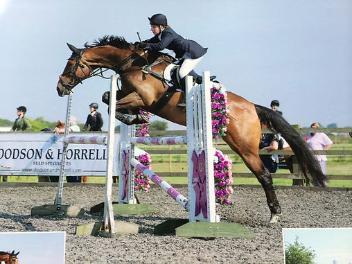 KR-EQUESTRIAN.JPG
