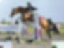 KR-EQUESTRIAN.JPG