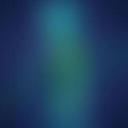 Mise en avant du nerf vague dans l'anatomie humaine