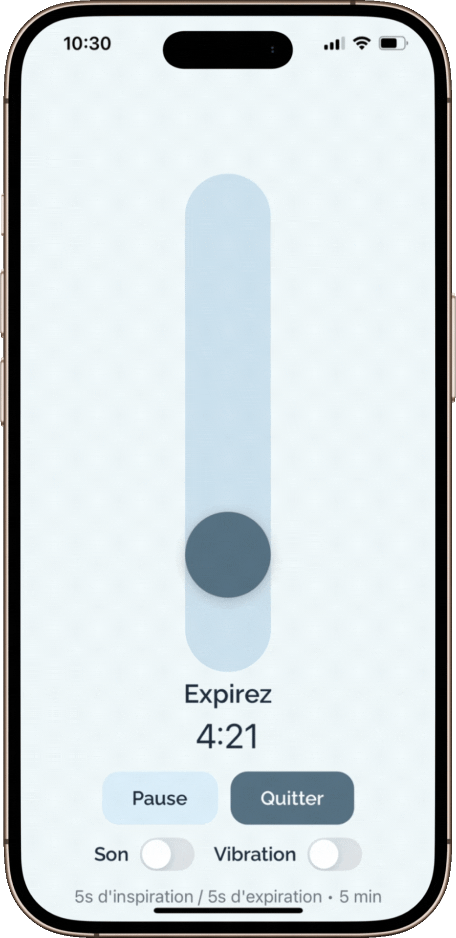 Application Handflow