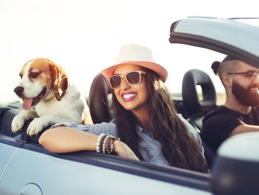 happy couple with dog driving a clean car.