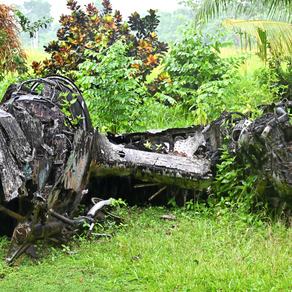 Un jour dans les pas des damnés de Guadalcanal