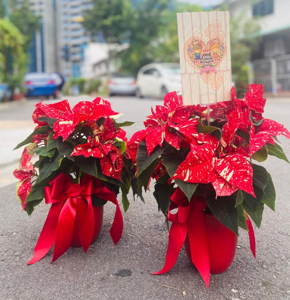 Little Flower Hut Singapore
