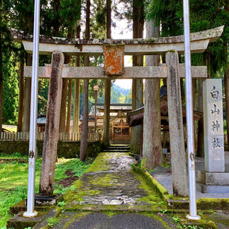 永平寺町志比の白山神社の鳥居と参道