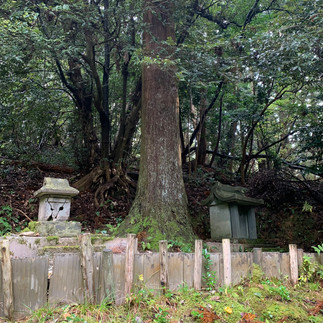 蔵王宮にある２つの石祠・あわら市清滝