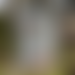 朝倉義景の側室・小少将の墓石に刻まれた祥順院の文字