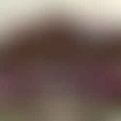 坂井市丸岡町石城戸の國神神社拝殿