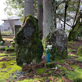 朝倉義景に最後まで付き添った家臣・鳥居景近と高橋景倍