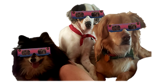 dogs with glasses (1)_edited.png