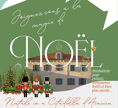 AFFICHE CITADELLE VF NOEL .png