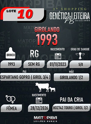 LOTE 28_edited.jpg