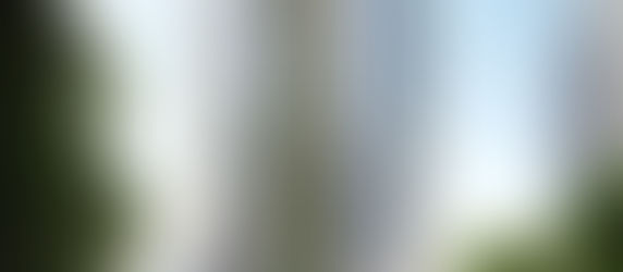 DALLAS’S LIVING WALL COULD CAPTURE THE SAME AMOUNT OF CO2 EACH YEAR