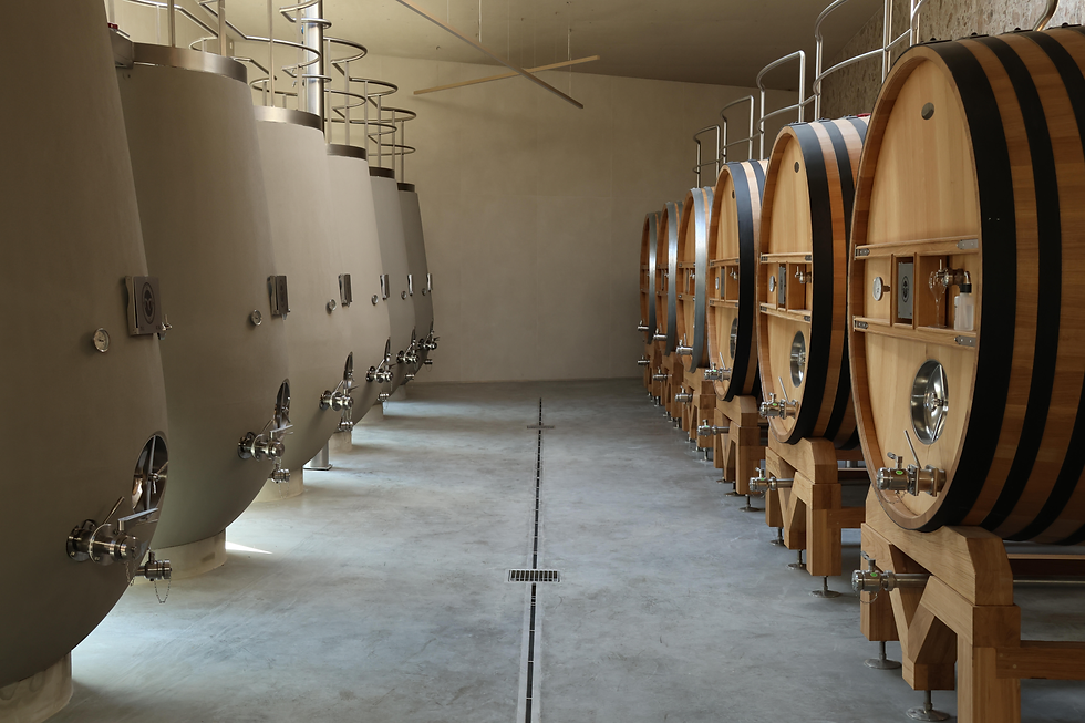 Old vs. New vs Old. Concrete eggs vs. oak barrels at Maison Lorgeril