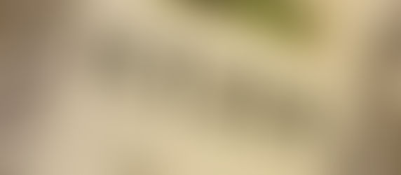 WINE REVIEW: Fetzer 2019 ‘Valley Oaks’ Pinot Grigio, California ($15)