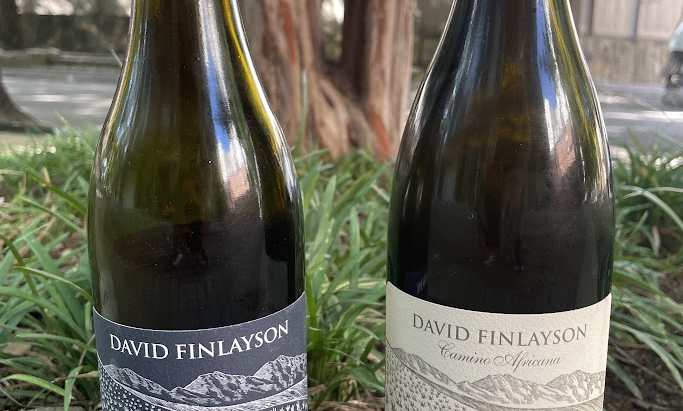 A Week With South African Wine - Monday: The Chardonnays