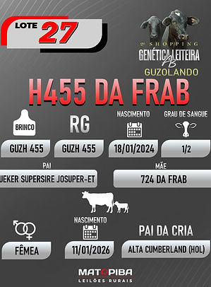 LOTE 28_edited.jpg