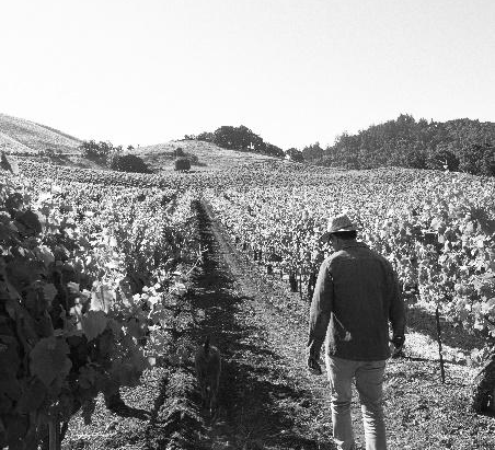 RODRIGO SOTO MOVES FULL TIME TO FAR MOUNTAIN WINERY