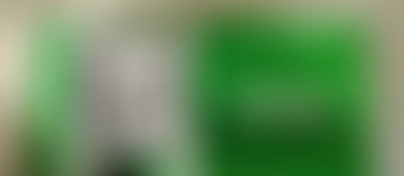 BEYOND FRIED CHICKEN SHOULD BE CALLED “UNLIKE FRIED CHICKEN”