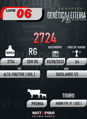 LOTE 28_edited.jpg