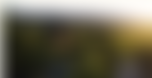 Sullivan Rutherford Estate — Pitching World-Class Merlot in the Heart of Napa Valley