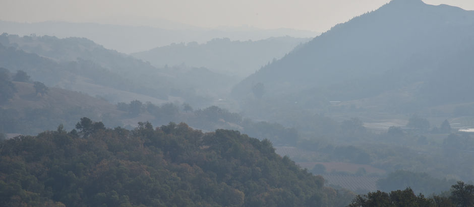 Jordan Vineyard & Winery